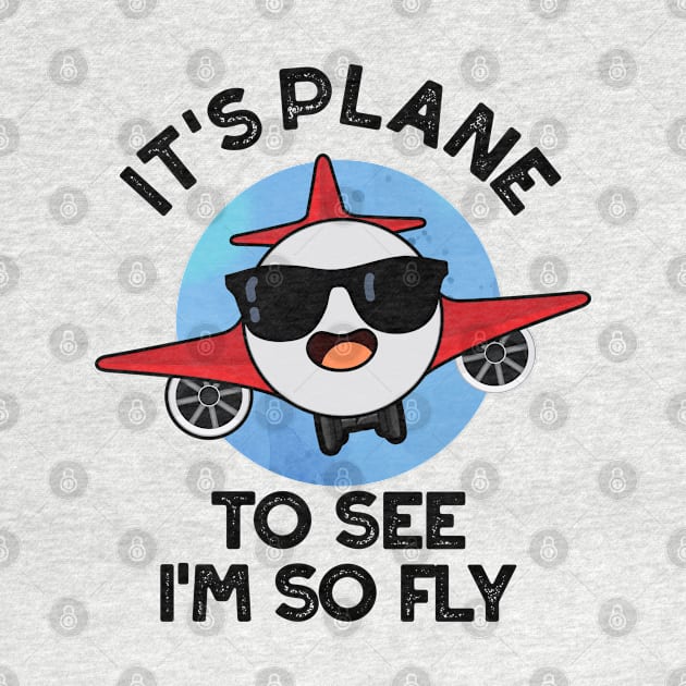 It's Plane To See I'm So Fly Funny Aeroplane Pun by punnybone